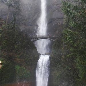 Meet your Posher, Jared